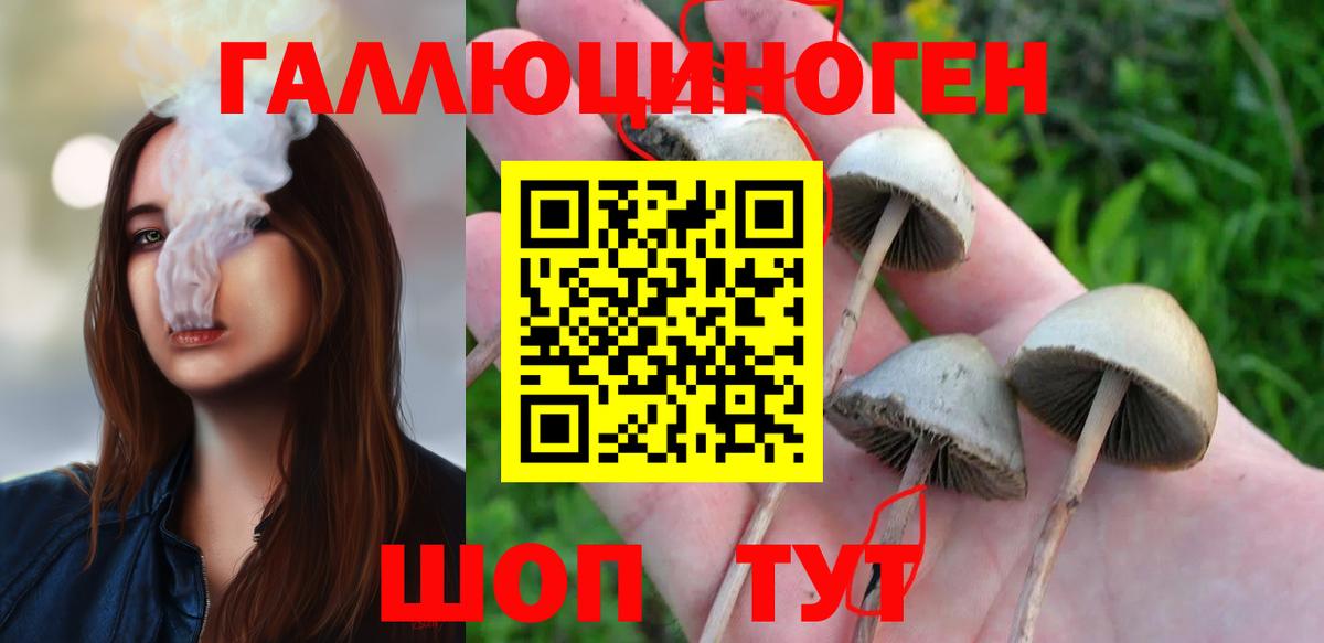 Псилоцибиновые грибы мицелий  Вход с VPN  Элиста 